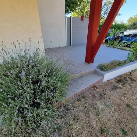 La Bruyere - Maisonnette Mitoyenne Avec Jardin Saint-Pierre-du-Mont (Landes)